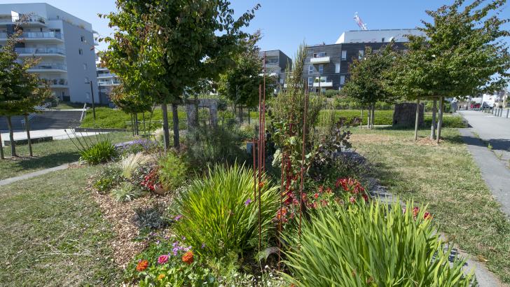 jardin éphémères