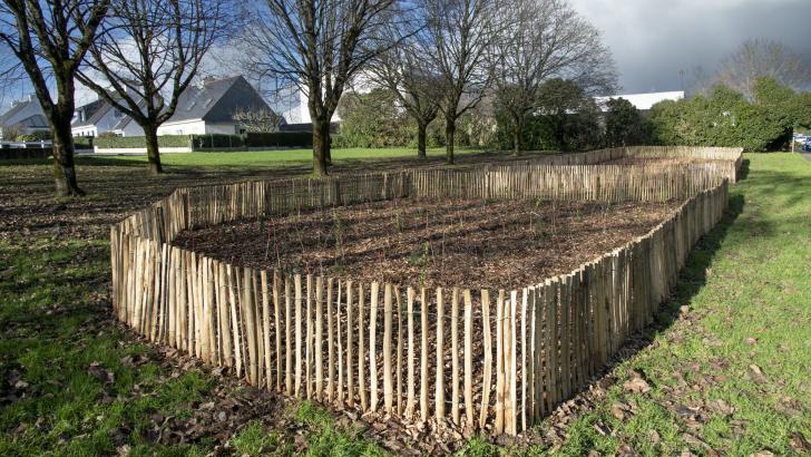 Forêt urbaine (plantation à forte densité)