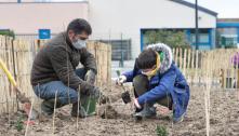 Forêt urbaine