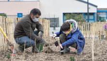 Forêt urbaine