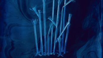 © ADAGP Paris, 2023, Manon Lanjouère, Les Particules, Tubularia indivisa, 20x20 cm, cyanotype sur verre et émulsion vinylique fluorescente.
