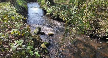 rivière libre de droit