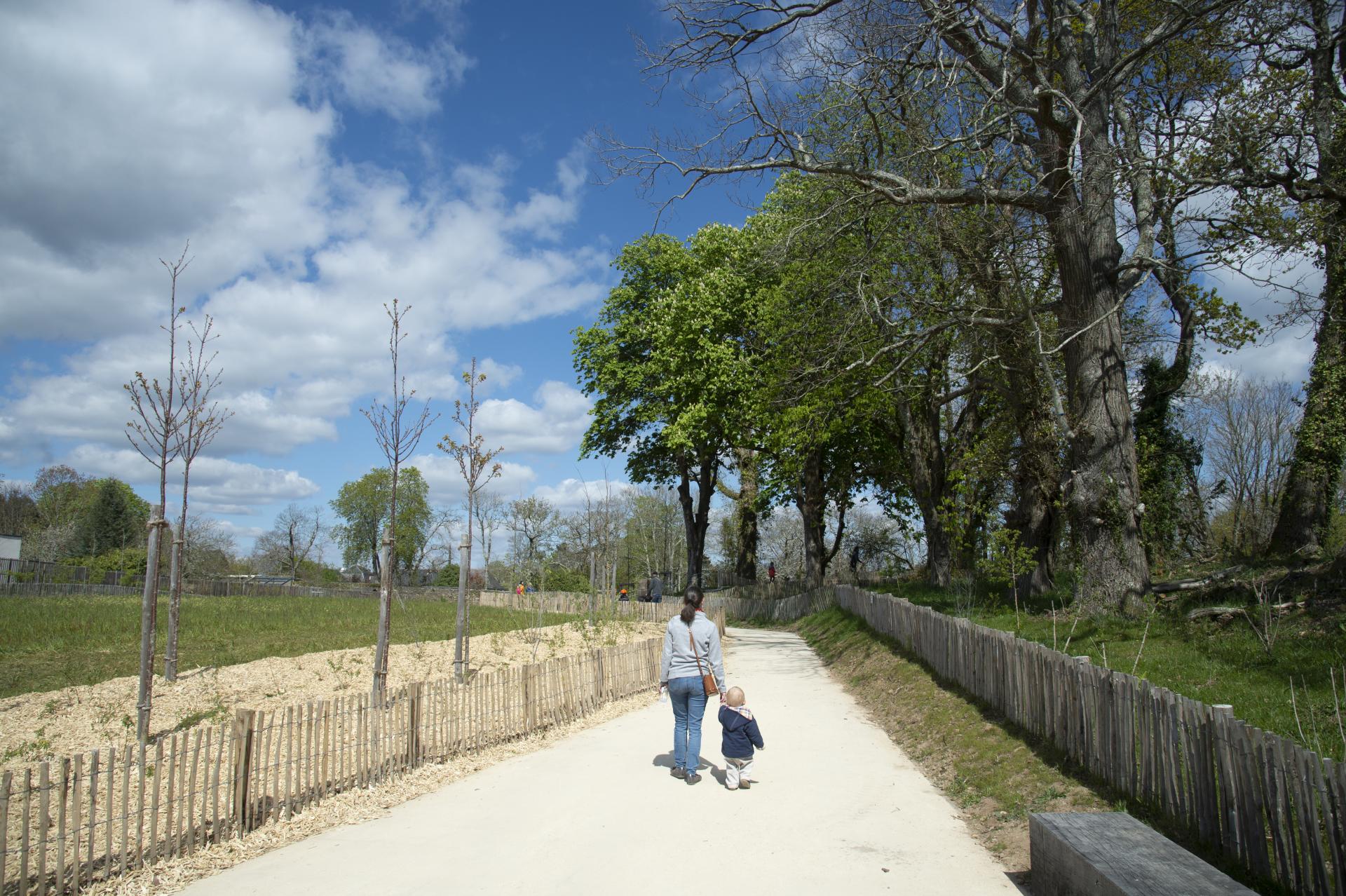 Arbres: protection et réglementation