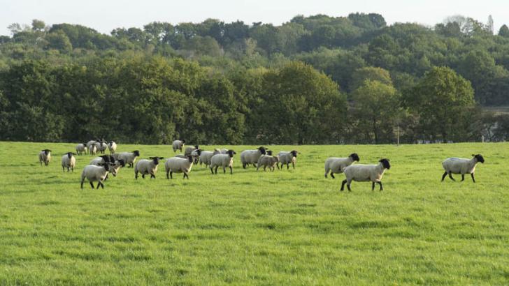 ferme pédagogique du Vincin