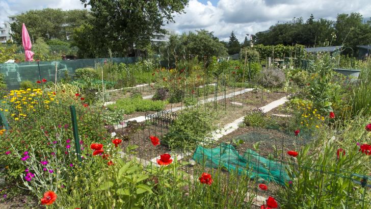 Jardins Familiaux de Bernus