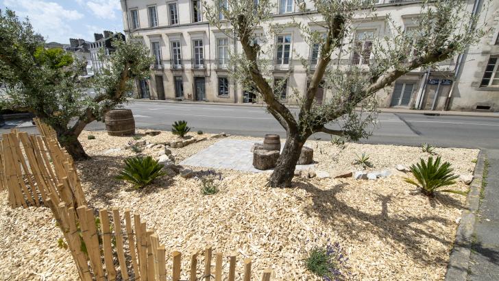 jardin éphémères