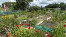 Jardins Familiaux de Bernus