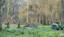Abattage Arbres Parc du Rohan