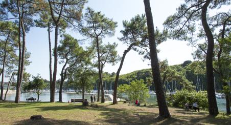 Pinede de Conleau