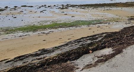 Estran Larmor Baden